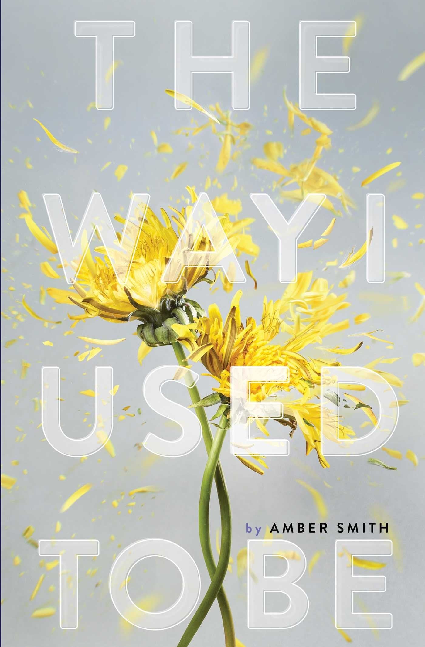 Book cover of 'The Way I Used To Be' 