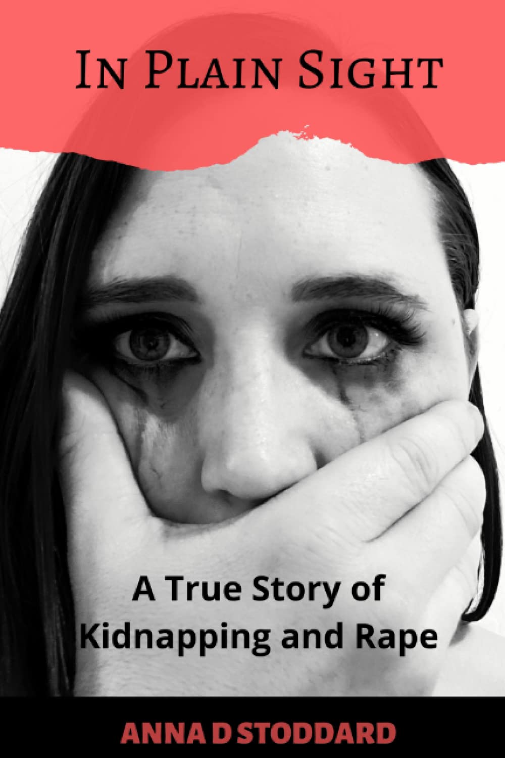 Book cover of 'In Plain Sight' by Anna D. Stoddard