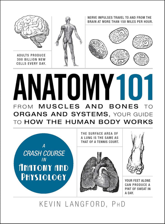 Anatomy 101 by Kevin Langford book cover